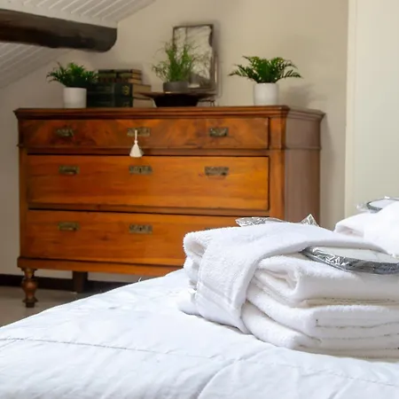 Umberto Center Appartments Apartment Padova